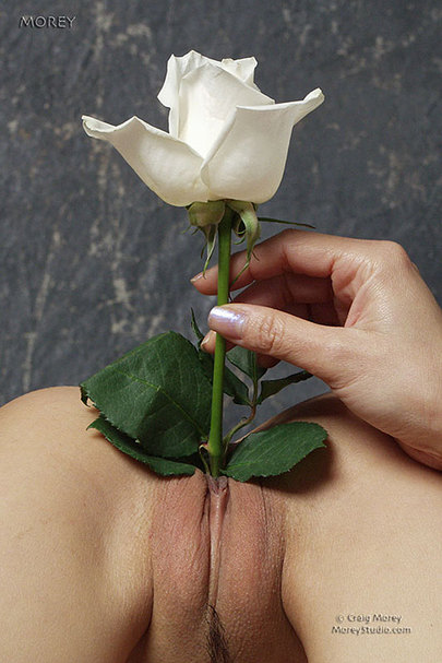 The Very Best Place to Grow Flowers 03