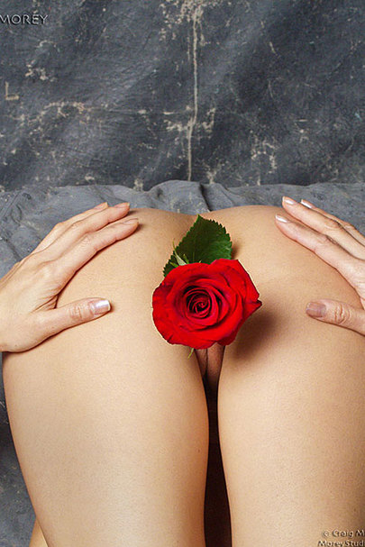The Very Best Place to Grow Flowers 04