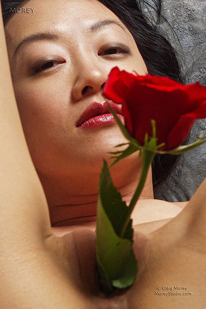 The Very Best Place to Grow Flowers 09