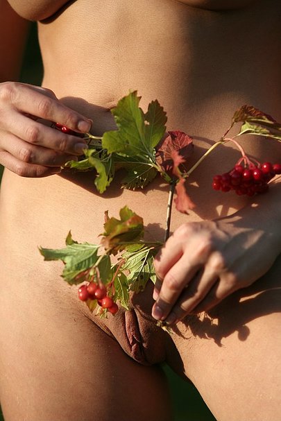 Olena - Redberries 13