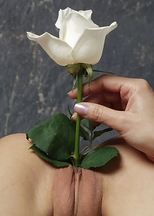 The Very Best Place to Grow Flowers